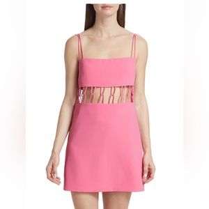 ALEXIS Kim Caged Cut-Out Mini Dress